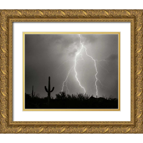 Electric Desert I - BW Gold Ornate Wood Framed Art Print with Double Matting by Taylor, Douglas