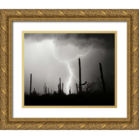 Electric Desert II - BW Gold Ornate Wood Framed Art Print with Double Matting by Taylor, Douglas