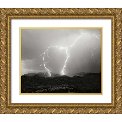 Striking Symmetry I - BW Gold Ornate Wood Framed Art Print with Double Matting by Taylor, Douglas