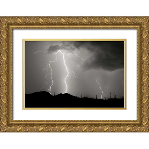 Striking Symmetry II - BW Gold Ornate Wood Framed Art Print with Double Matting by Taylor, Douglas