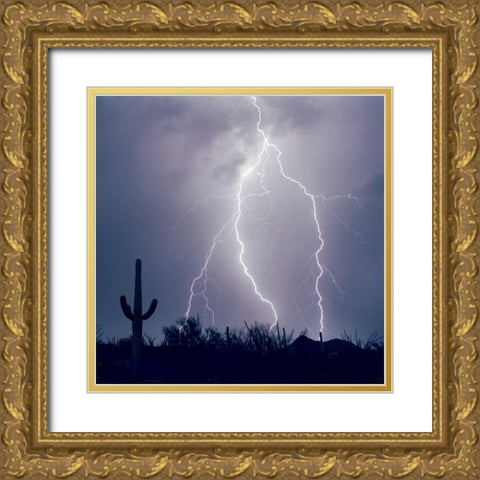 Electric Desert III Gold Ornate Wood Framed Art Print with Double Matting by Taylor, Douglas