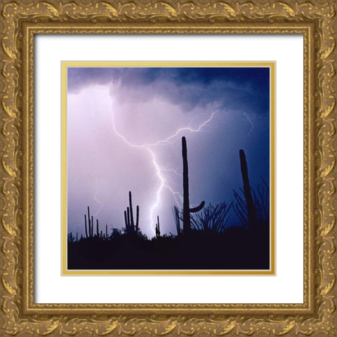 Electric Desert IV Gold Ornate Wood Framed Art Print with Double Matting by Taylor, Douglas