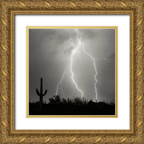 Electric Desert III - BW Gold Ornate Wood Framed Art Print with Double Matting by Taylor, Douglas