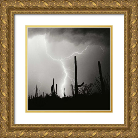 Electric Desert IV - BW Gold Ornate Wood Framed Art Print with Double Matting by Taylor, Douglas