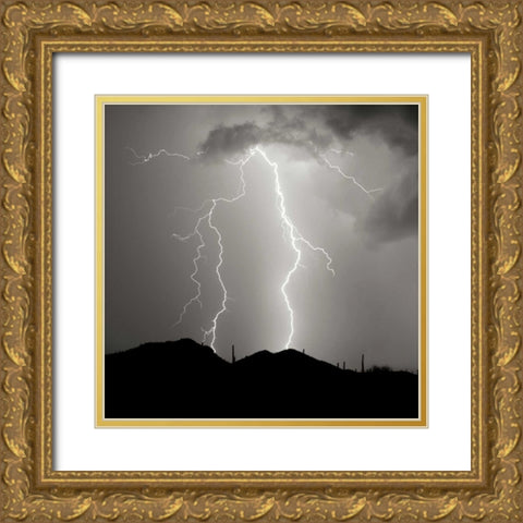 Summer Lightning I - BW Gold Ornate Wood Framed Art Print with Double Matting by Taylor, Douglas