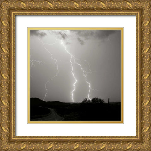 Summer Lightning II - BW Gold Ornate Wood Framed Art Print with Double Matting by Taylor, Douglas