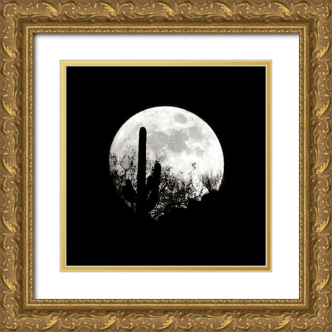 Moonrise in May I Gold Ornate Wood Framed Art Print with Double Matting by Taylor, Douglas