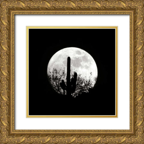 Moonrise in May II Gold Ornate Wood Framed Art Print with Double Matting by Taylor, Douglas