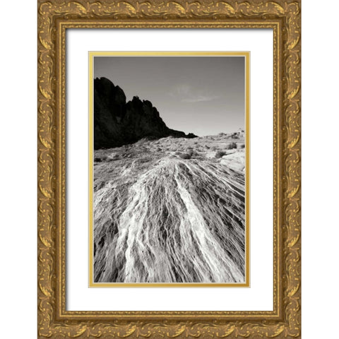Fiery Sandstone BW Gold Ornate Wood Framed Art Print with Double Matting by Taylor, Douglas