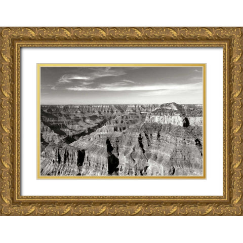 Grand Canyon Dawn II BW Gold Ornate Wood Framed Art Print with Double Matting by Taylor, Douglas