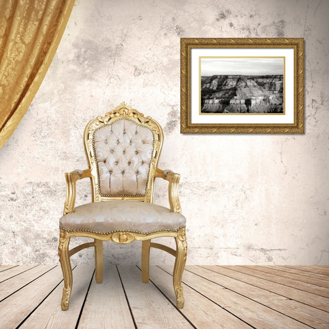 Grand Canyon Dawn III BW Gold Ornate Wood Framed Art Print with Double Matting by Taylor, Douglas
