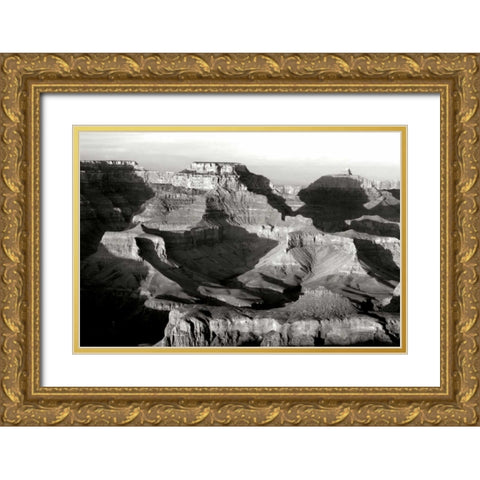 Grand Canyon Dawn IV BW Gold Ornate Wood Framed Art Print with Double Matting by Taylor, Douglas