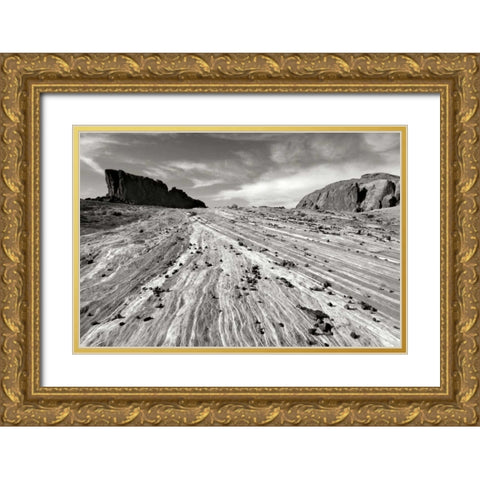 Sands of Time I BW Gold Ornate Wood Framed Art Print with Double Matting by Taylor, Douglas