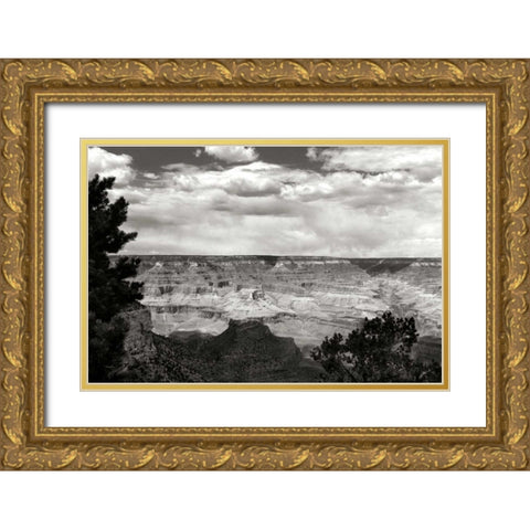 Grand Canyon Skies BW Gold Ornate Wood Framed Art Print with Double Matting by Taylor, Douglas