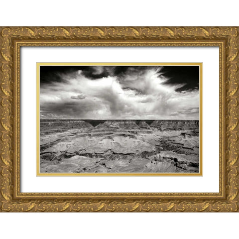 Grand Canyon Winds BW Gold Ornate Wood Framed Art Print with Double Matting by Taylor, Douglas