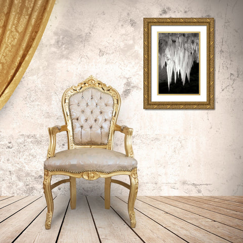 Carlsbad Cavern I BW Gold Ornate Wood Framed Art Print with Double Matting by Taylor, Douglas