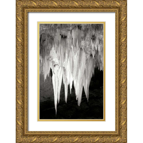 Carlsbad Cavern I BW Gold Ornate Wood Framed Art Print with Double Matting by Taylor, Douglas