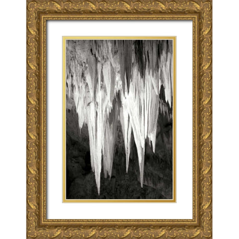 Carlsbad Cavern II BW Gold Ornate Wood Framed Art Print with Double Matting by Taylor, Douglas