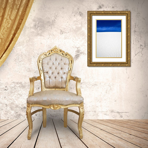 White Sands I Gold Ornate Wood Framed Art Print with Double Matting by Taylor, Douglas