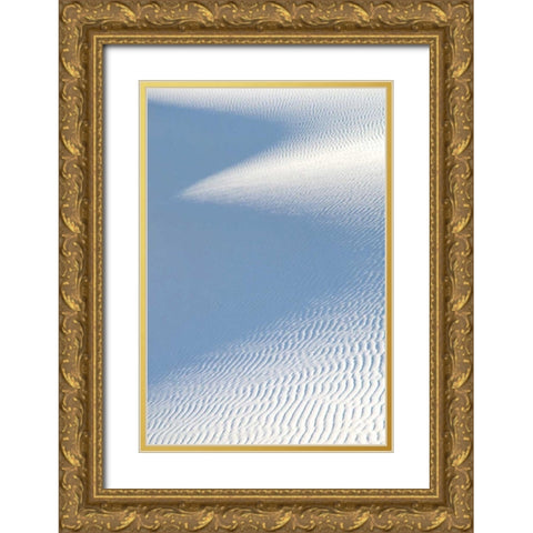 White Sands II Gold Ornate Wood Framed Art Print with Double Matting by Taylor, Douglas