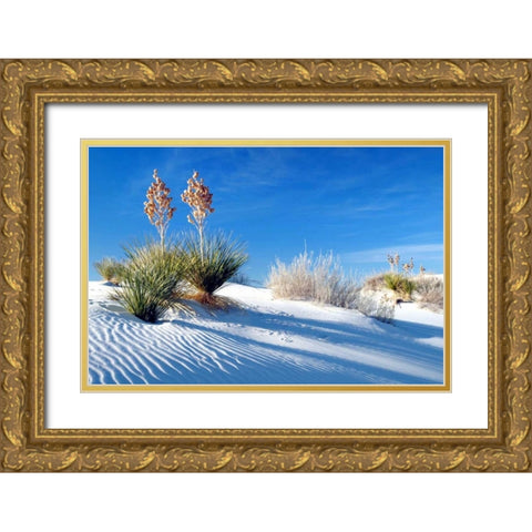 Sand Shadows II Gold Ornate Wood Framed Art Print with Double Matting by Taylor, Douglas