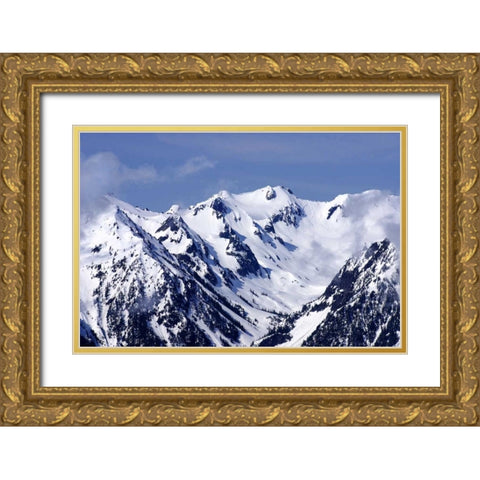 Carved by Ice Gold Ornate Wood Framed Art Print with Double Matting by Taylor, Douglas