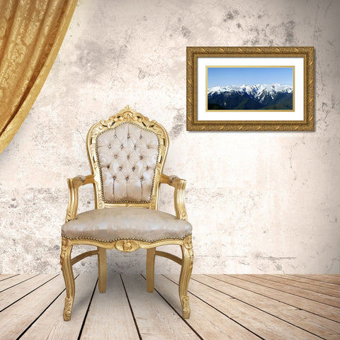 Hurricane Ridge Vista Gold Ornate Wood Framed Art Print with Double Matting by Taylor, Douglas