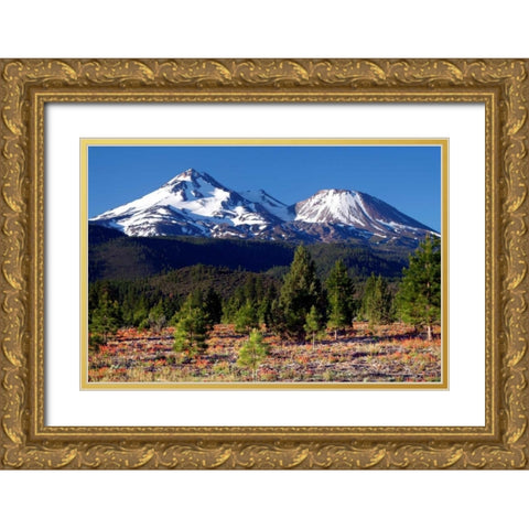 Morning in Shasta Gold Ornate Wood Framed Art Print with Double Matting by Taylor, Douglas