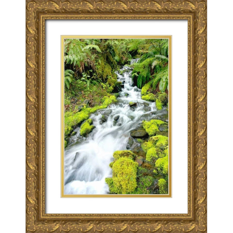 Mountain Stream Gold Ornate Wood Framed Art Print with Double Matting by Taylor, Douglas