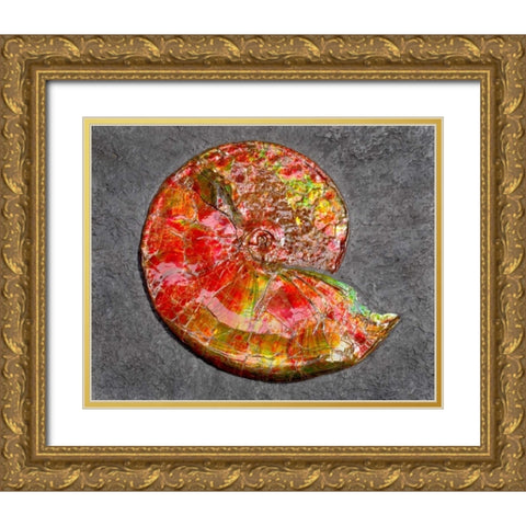 Ammonite in Matrix Gold Ornate Wood Framed Art Print with Double Matting by Taylor, Douglas