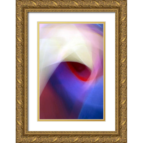 Solid Fluid Vapor Gold Ornate Wood Framed Art Print with Double Matting by Taylor, Douglas