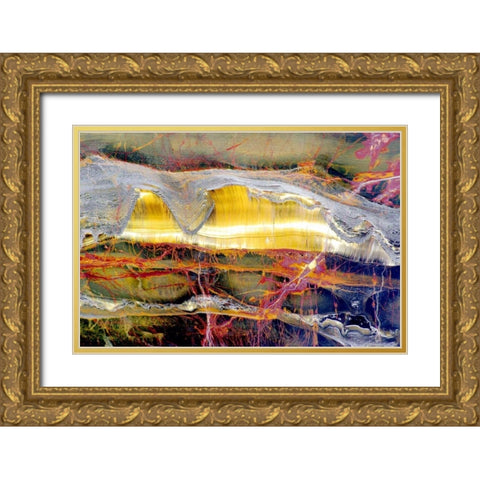 Marra Mamba Minerals Gold Ornate Wood Framed Art Print with Double Matting by Taylor, Douglas