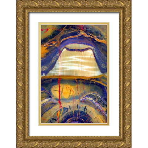 Tiger Eye Gold Ornate Wood Framed Art Print with Double Matting by Taylor, Douglas