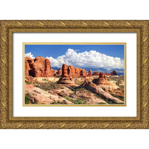 Weathering Sandstones Gold Ornate Wood Framed Art Print with Double Matting by Taylor, Douglas
