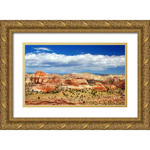 Slickrock County Gold Ornate Wood Framed Art Print with Double Matting by Taylor, Douglas
