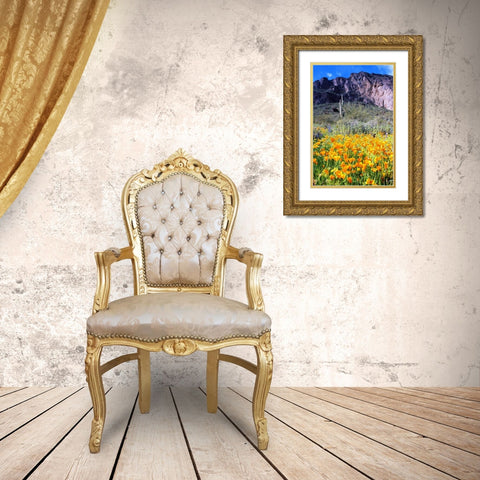 Picacho Peak Wildflowers Gold Ornate Wood Framed Art Print with Double Matting by Taylor, Douglas