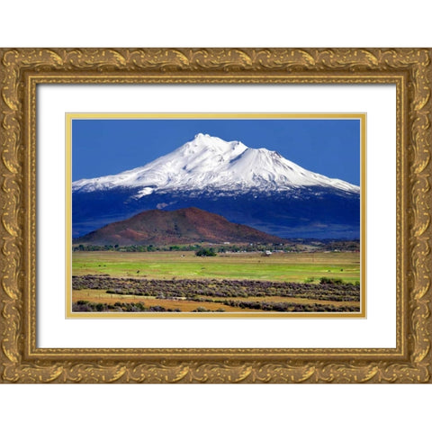 Shasta County Spring Gold Ornate Wood Framed Art Print with Double Matting by Taylor, Douglas