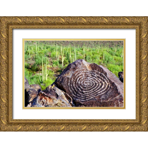 Hohokam Petroglyph Gold Ornate Wood Framed Art Print with Double Matting by Taylor, Douglas