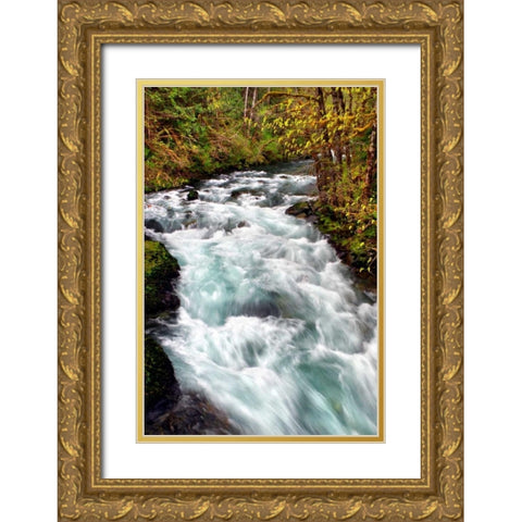 Hamma Hamma River Gold Ornate Wood Framed Art Print with Double Matting by Taylor, Douglas
