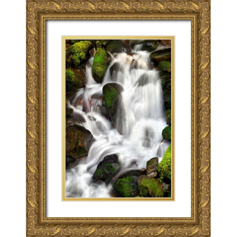 Trailside Waterfall IV Gold Ornate Wood Framed Art Print with Double Matting by Taylor, Douglas
