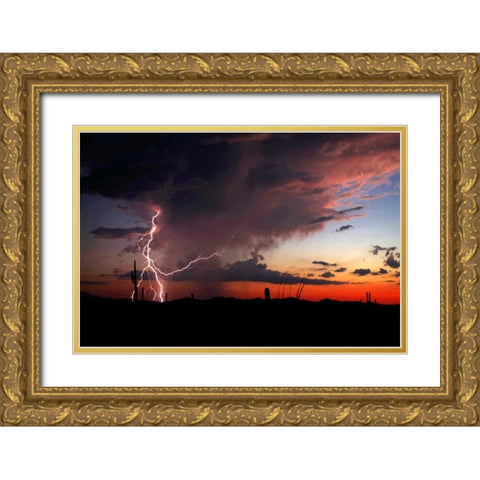Twilight Lightning I Gold Ornate Wood Framed Art Print with Double Matting by Taylor, Douglas