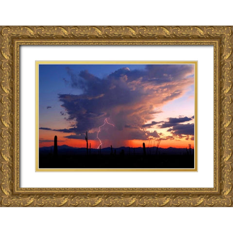 Twilight Lightning II Gold Ornate Wood Framed Art Print with Double Matting by Taylor, Douglas