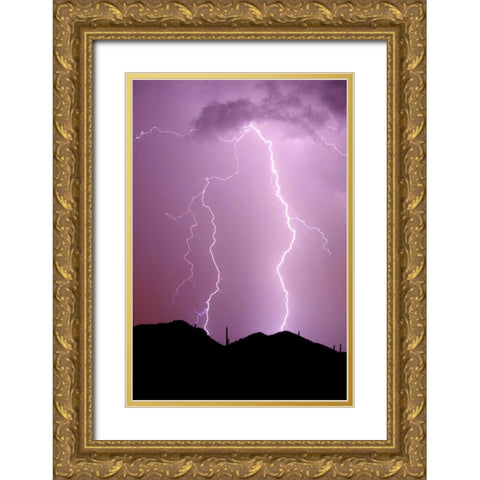 Summer Lightning Gold Ornate Wood Framed Art Print with Double Matting by Taylor, Douglas