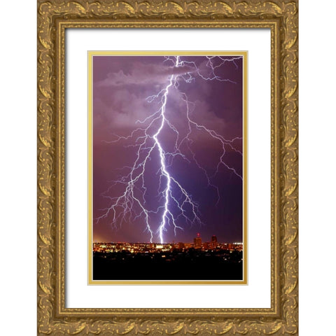 Lightning Portrait Gold Ornate Wood Framed Art Print with Double Matting by Taylor, Douglas