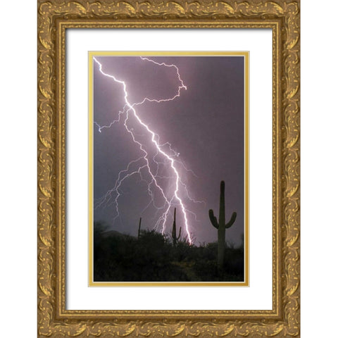 Fire and Rain Gold Ornate Wood Framed Art Print with Double Matting by Taylor, Douglas