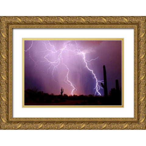 Electrifying Gold Ornate Wood Framed Art Print with Double Matting by Taylor, Douglas