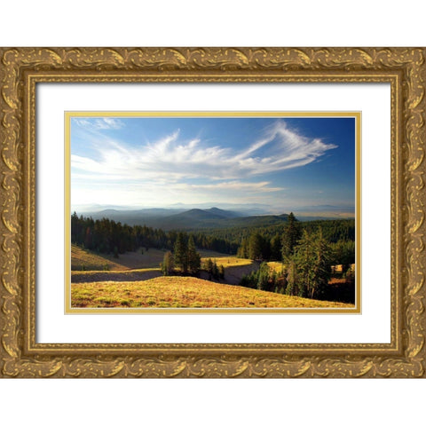Mazama Morning Gold Ornate Wood Framed Art Print with Double Matting by Taylor, Douglas