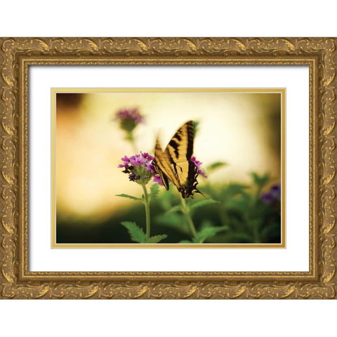 Garden Butterfly III Gold Ornate Wood Framed Art Print with Double Matting by Clayton-Thompson, Philip