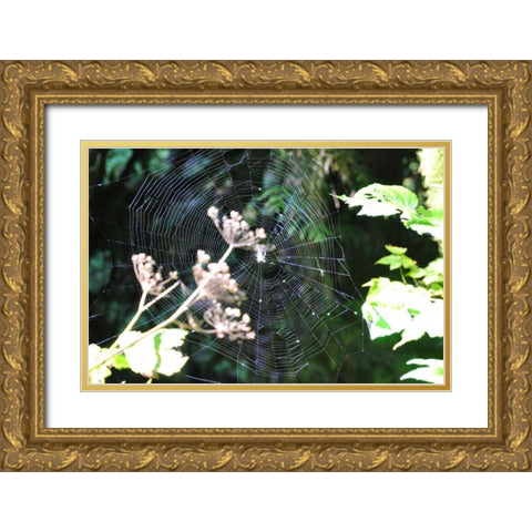 Spiderweb I Gold Ornate Wood Framed Art Print with Double Matting by Thomas, Logan