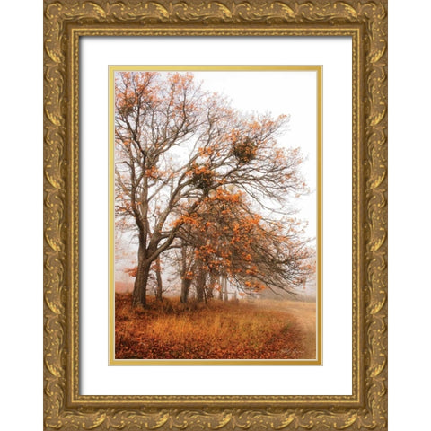 Autumn Lane Gold Ornate Wood Framed Art Print with Double Matting by Geyman, Vitaly